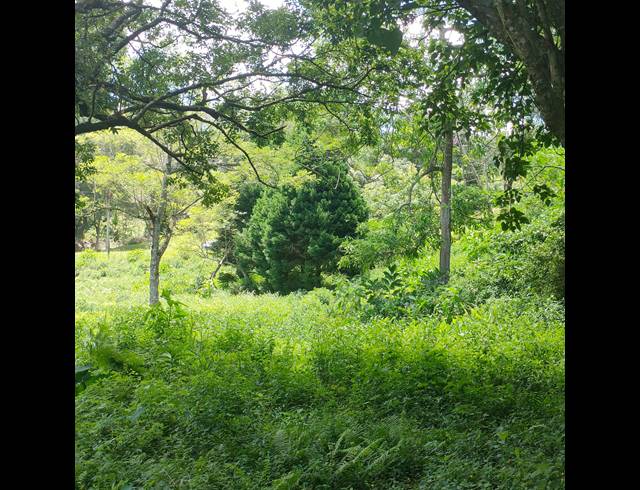 6,000M² VACANT LAND FOR SALE IN CLIFTON PARK